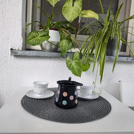 Twowheels - With Bicycles Újvidék